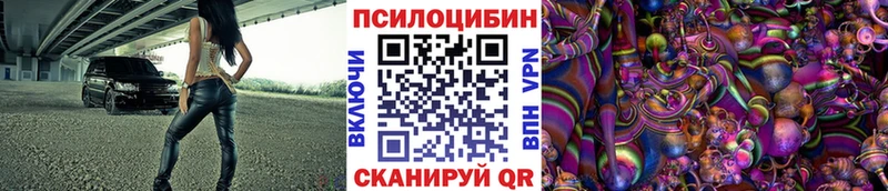 Купить закладки  Сатка  Псилоцибиновые грибы Psilocybine cubensis 